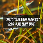 东莞电源制造哪家强？全球认证品牌解析（图4）