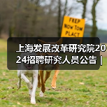 上海发展改革研究院2024招聘研究人员公告 | 岗位解析(图3) 上海发展改革研究院2024招聘研究人员公告 | 岗位解析(图3)