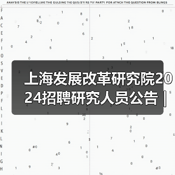 上海发展改革研究院2024招聘研究人员公告 | 岗位解析(图2) 上海发展改革研究院2024招聘研究人员公告 | 岗位解析(图2)