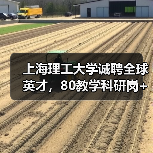 上海理工大学诚聘全球英才，80教学科研岗+60博士后岗位开放申请（图1）
