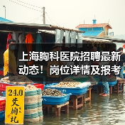上海胸科医院招聘最新动态！岗位详情及报考指南（图4）