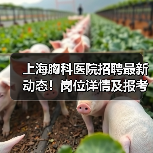 上海胸科医院招聘最新动态！岗位详情及报考指南（图1）