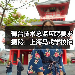 舞台技术总监应聘要求揭秘，上海马戏学校招聘流程公开（图3）