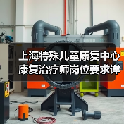 上海特殊儿童康复中心康复治疗师岗位要求详解(图4) 上海特殊儿童康复中心康复治疗师岗位要求详解(图4)