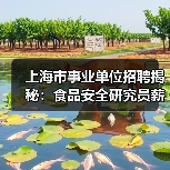 上海市事业单位招聘揭秘：食品安全研究员薪资待遇解析（图2）