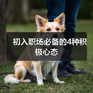 初入职场必备的4种积极心态(图3) 初入职场必备的4种积极心态(图3)