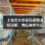 上海交大医学院招聘流程详解:岗位条件与应聘步骤全攻略(图1) 上海交大医学院招聘流程详解:岗位条件与应聘步骤全攻略(图1)