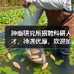 肿瘤研究所招聘科研人才,待遇优厚,欢迎加入!(图1) 肿瘤研究所招聘科研人才,待遇优厚,欢迎加入!(图1)