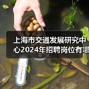 上海市交通发展研究中心2024年招聘岗位有哪些？速看！（图3）