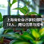 上海商业会计学校招聘18人，岗位信息与报考指南（图1）