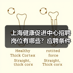 上海健康促进中心招聘岗位有哪些?应聘条件全解析(图2) 上海健康促进中心招聘岗位有哪些?应聘条件全解析(图2)