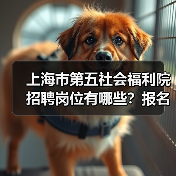 上海市第五社会福利院招聘岗位有哪些?报名条件全解析(图1) 上海市第五社会福利院招聘岗位有哪些?报名条件全解析(图1)