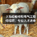 上海船舶检验电气工程师招聘，专业人才速来应聘（图1）