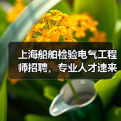 上海船舶检验电气工程师招聘，专业人才速来应聘（图4）
