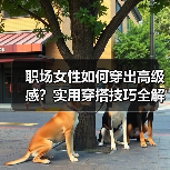 职场女性如何穿出高级感?实用穿搭技巧全解析(图1) 职场女性如何穿出高级感?实用穿搭技巧全解析(图1)