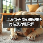 上海电子信息职院招聘岗位及流程详解(图2) 上海电子信息职院招聘岗位及流程详解(图2)