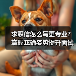 求职信怎么写更专业?掌握正确姿势提升面试机会(图3) 求职信怎么写更专业?掌握正确姿势提升面试机会(图3)