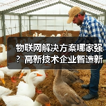 物联网解决方案哪家强？高新技术企业智造新标杆（图2）