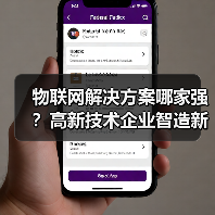 物联网解决方案哪家强？高新技术企业智造新标杆（图4）