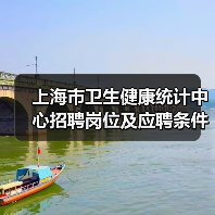 上海市卫生健康统计中心招聘岗位及应聘条件解析(图3) 上海市卫生健康统计中心招聘岗位及应聘条件解析(图3)