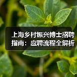 上海乡村振兴博士招聘指南:应聘流程全解析(图1) 上海乡村振兴博士招聘指南:应聘流程全解析(图1)