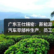 广东王仕精密：新能源汽车零部件生产，员工福利与成长机会解析（图2）