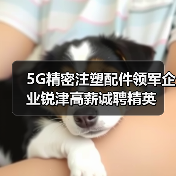 5G精密注塑配件领军企业锐津高薪诚聘精英（图1）