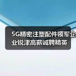 5G精密注塑配件领军企业锐津高薪诚聘精英（图4）