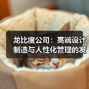 龙比度公司:高端设计制造与人性化管理的发展历程(图1) 龙比度公司:高端设计制造与人性化管理的发展历程(图1)