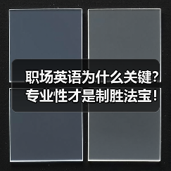 职场英语为什么关键?专业性才是制胜法宝!(图3) 职场英语为什么关键?专业性才是制胜法宝!(图3)