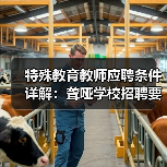 特殊教育教师应聘条件详解：聋哑学校招聘要求全公开（图3）