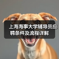 上海海事大学辅导员应聘条件及流程详解(图2) 上海海事大学辅导员应聘条件及流程详解(图2)