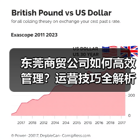 东莞商贸公司如何高效管理？运营技巧全解析（图2）