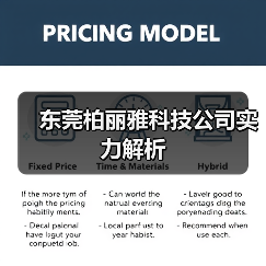 东莞柏丽雅科技公司实力解析（图1）