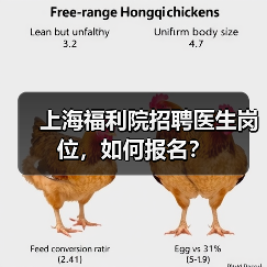 上海福利院招聘医生岗位,如何报名?(图2) 上海福利院招聘医生岗位,如何报名?(图2)