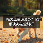 拖欠工资怎么办?实用解决办法全解析(图2) 拖欠工资怎么办?实用解决办法全解析(图2)