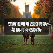 东莞港电电器招聘条件与福利待遇解析（图2）