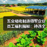 五金精密制造领军企业员工福利揭秘：待遇全解析（图3）