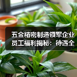 五金精密制造领军企业员工福利揭秘：待遇全解析（图4）