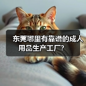 东莞哪里有靠谱的成人用品生产工厂？（图1）