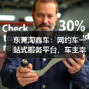 东莞淘鑫车:网约车一站式服务平台,车主幸福新选择(图4) 东莞淘鑫车:网约车一站式服务平台,车主幸福新选择(图4)