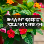 镁铝合金压铸哪家强？汽车零部件制造新标杆（图3）