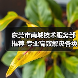 东莞市南城技术服务部推荐 专业高效解决各类技术难题（图4）