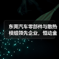 东莞汽车零部件与散热模组领先企业,恒动金属品质认证(图3) 东莞汽车零部件与散热模组领先企业,恒动金属品质认证(图3)