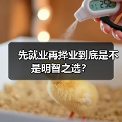 先就业再择业到底是不是明智之选?(图1) 先就业再择业到底是不是明智之选?(图1)