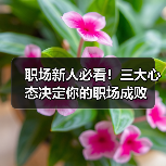 职场新人必看!三大心态决定你的职场成败(图3) 职场新人必看!三大心态决定你的职场成败(图3)