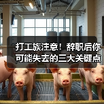 打工族注意!辞职后你可能失去的三大关键点(图2) 打工族注意!辞职后你可能失去的三大关键点(图2)