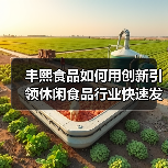 丰熙食品如何用创新引领休闲食品行业快速发展？（图2）