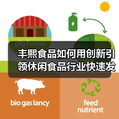 丰熙食品如何用创新引领休闲食品行业快速发展？（图3）