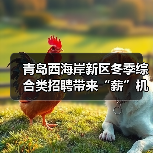 青岛西海岸新区冬季综合类招聘带来“薪”机遇(图4) 青岛西海岸新区冬季综合类招聘带来“薪”机遇(图4)